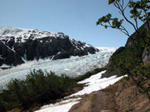 Exit Glacier