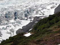 Exit Glacier