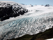 Exit Glacier