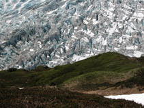 Close-up Exit Glacier