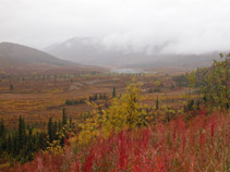 Tombstone Mountains