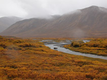 Tombstone Mountains